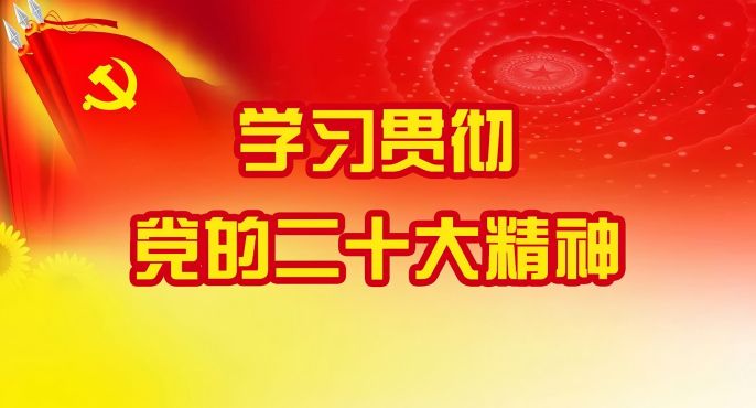 学习贯彻党的二十大精神