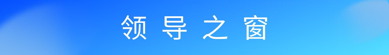 领导之窗