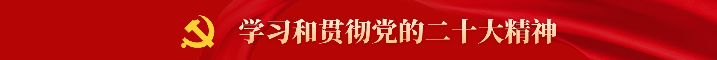学习贯彻党的二十大精神